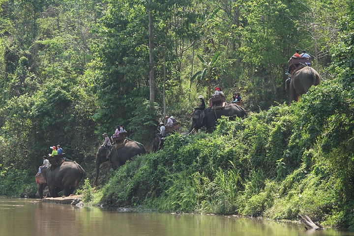 チェンマイ郊外の観光「ジャングルツアー」へご案内